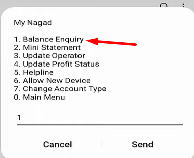 Nagad Balance Check Code
