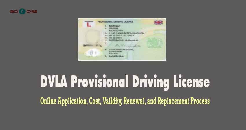 DVLA Provisional Driving License UK